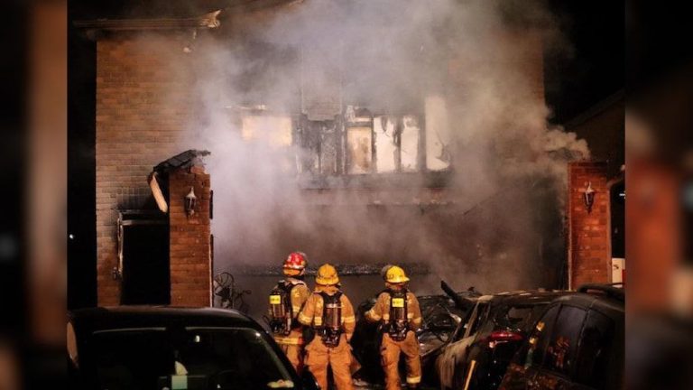 IMG_20250409_164552_618