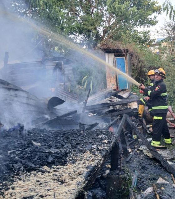 photo_2025-04-29_09-49-31