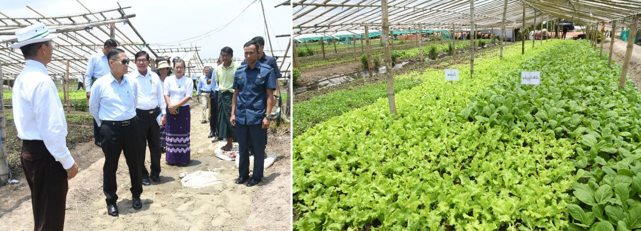 photo_2025-05-23_09-53-45