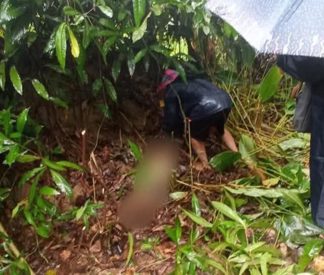 photo_2025-05-29_11-22-14