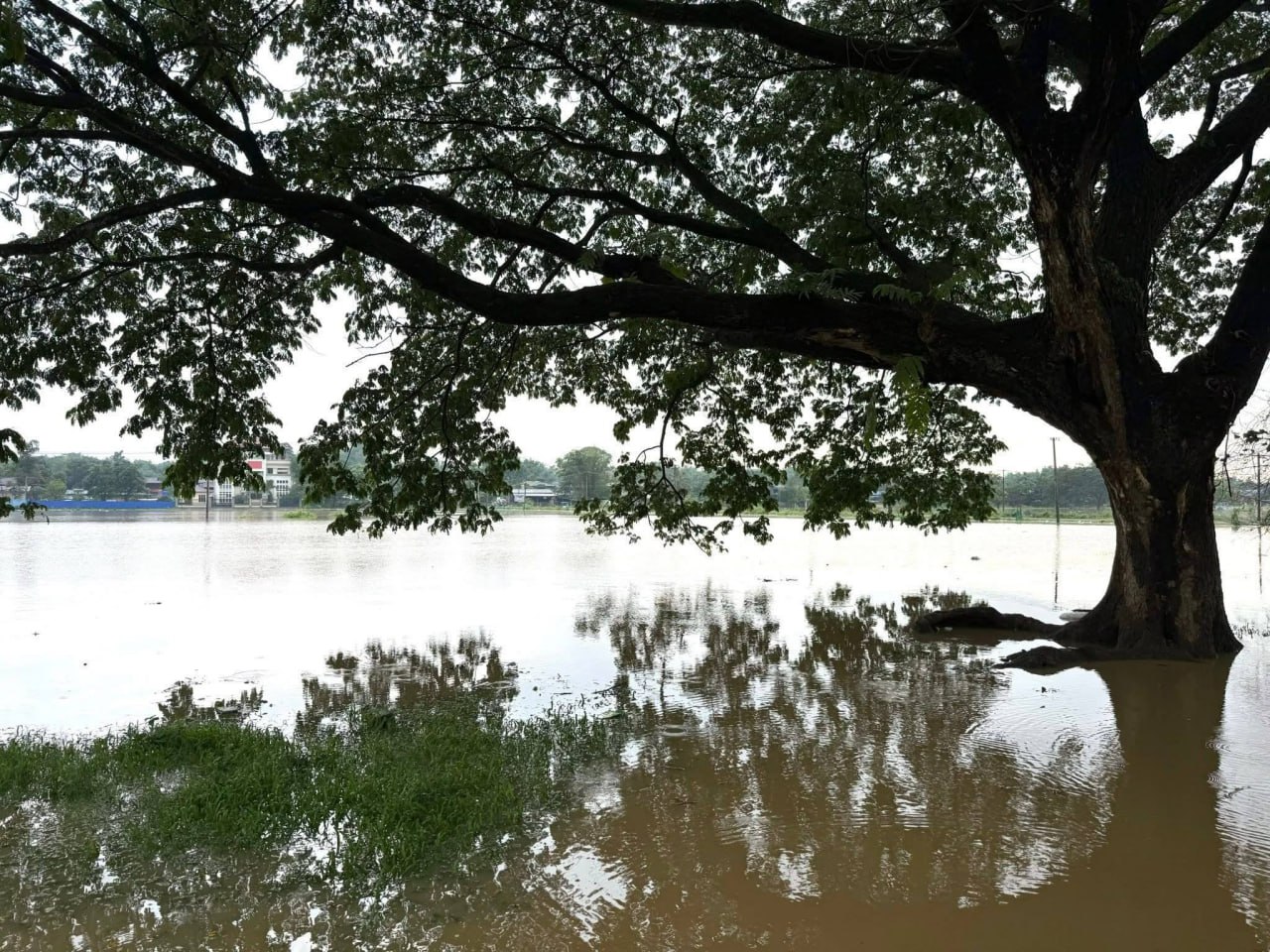photo_2025-06-02_11-36-45 (2)