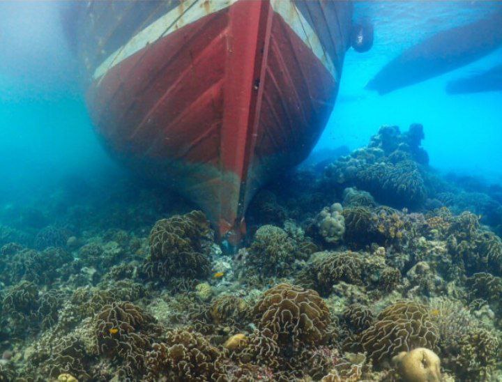 photo_2025-06-04_15-15-26 (2)