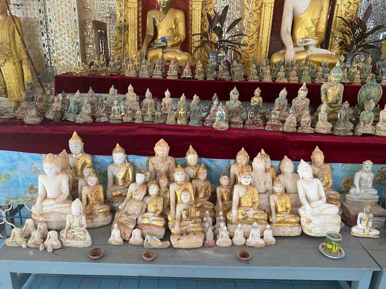 photo_2025-06-13_14-14-40