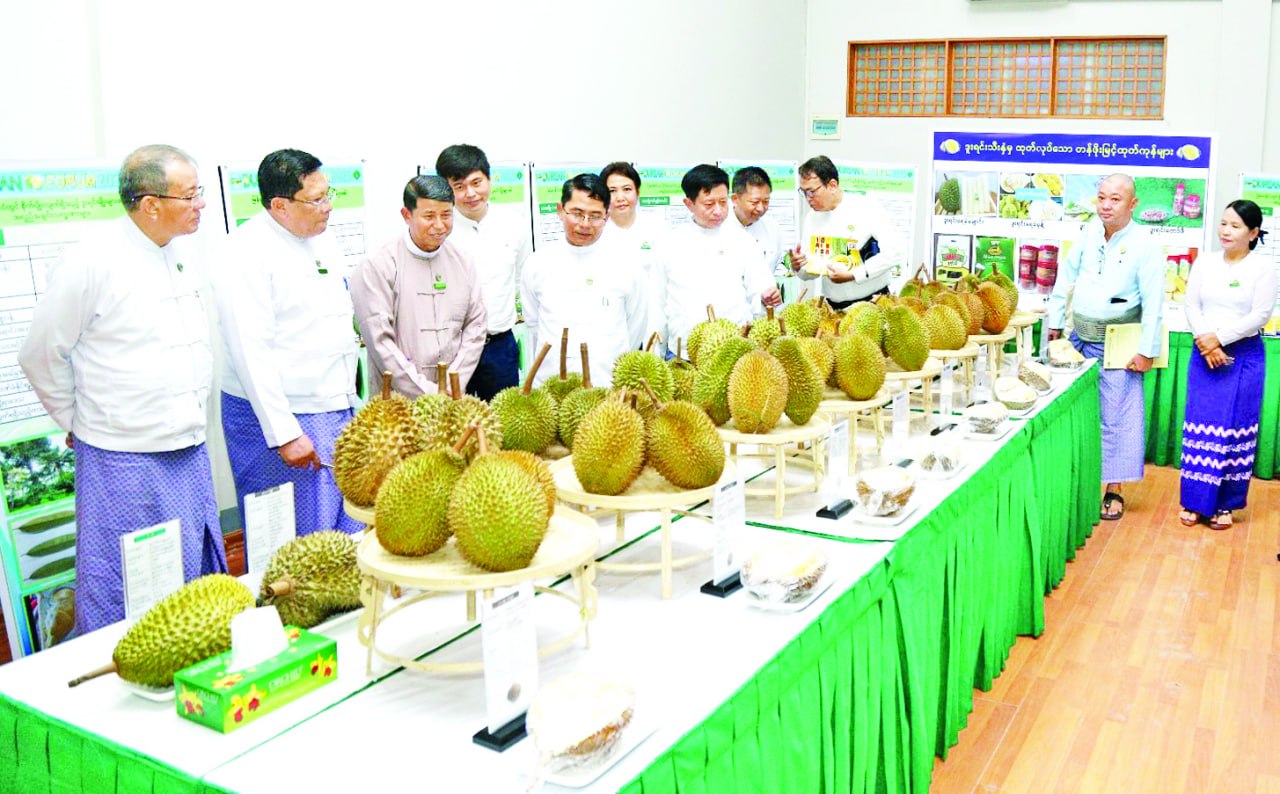 photo_2025-06-26_11-57-16