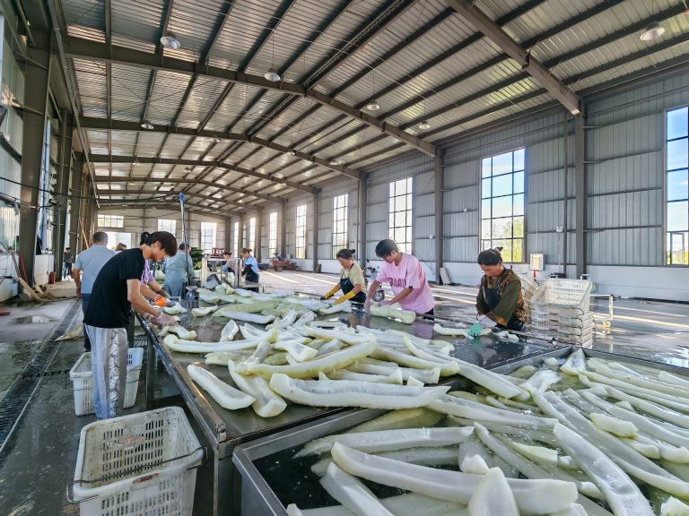 FB_IMG_1753363448256