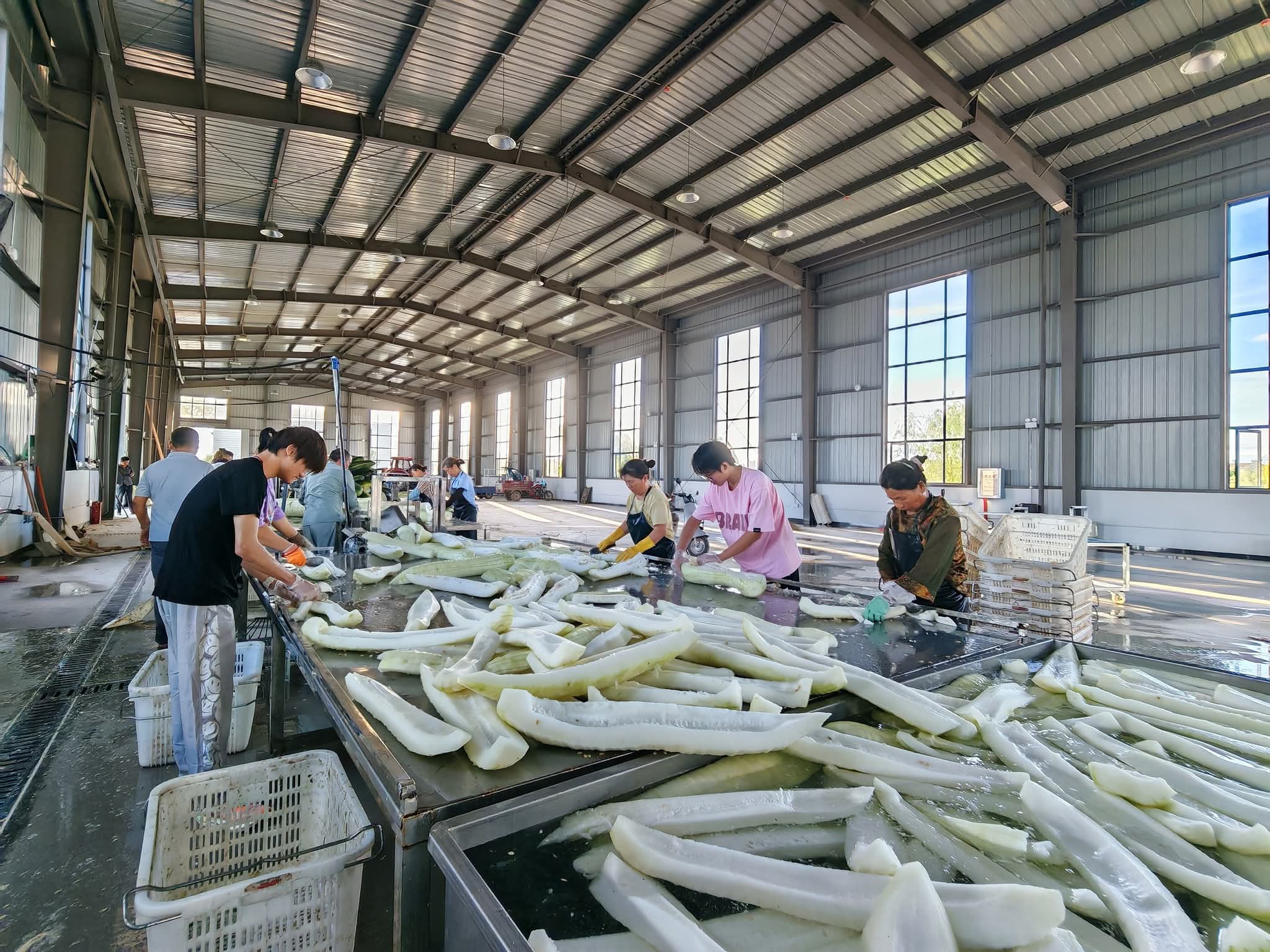 FB_IMG_1753363448256