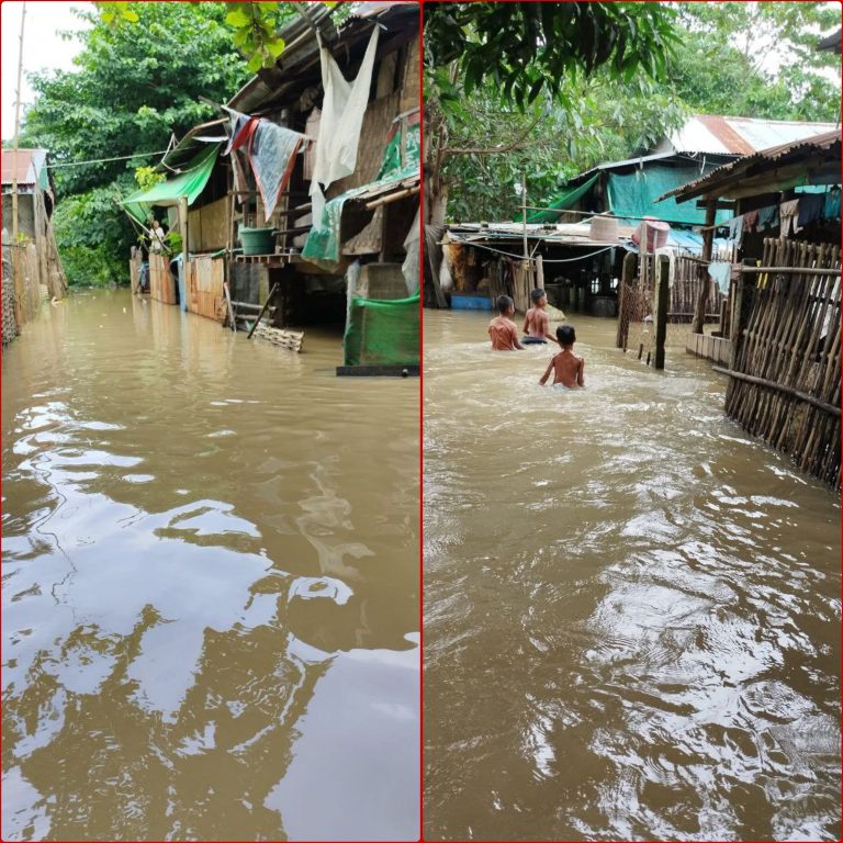 InCollage_20250719_173213982