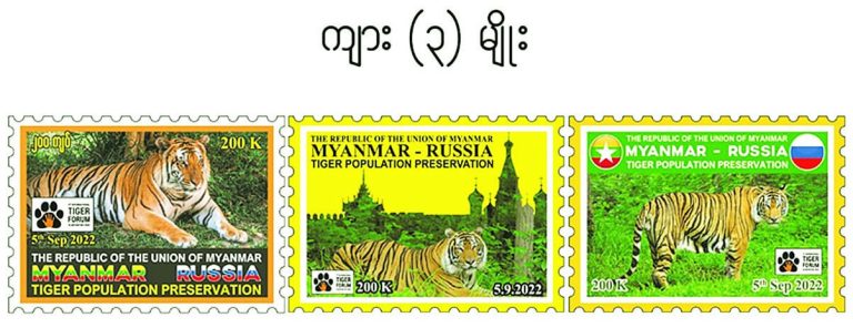 photo_2025-07-17_12-02-20