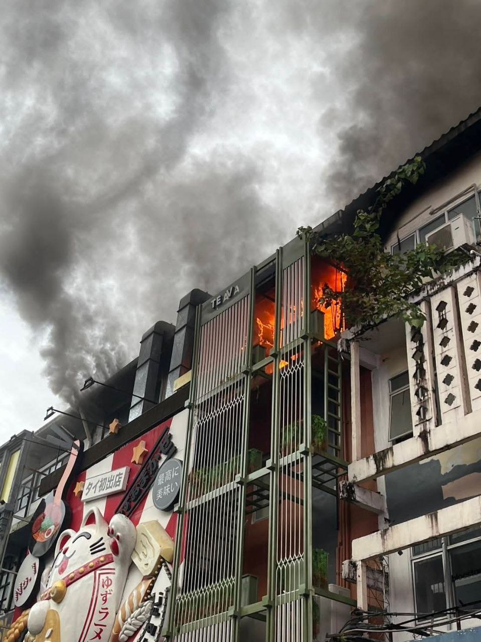 photo_2025-07-18_09-35-30