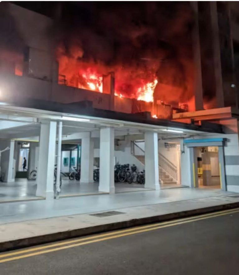 photo_2025-07-23_10-04-53