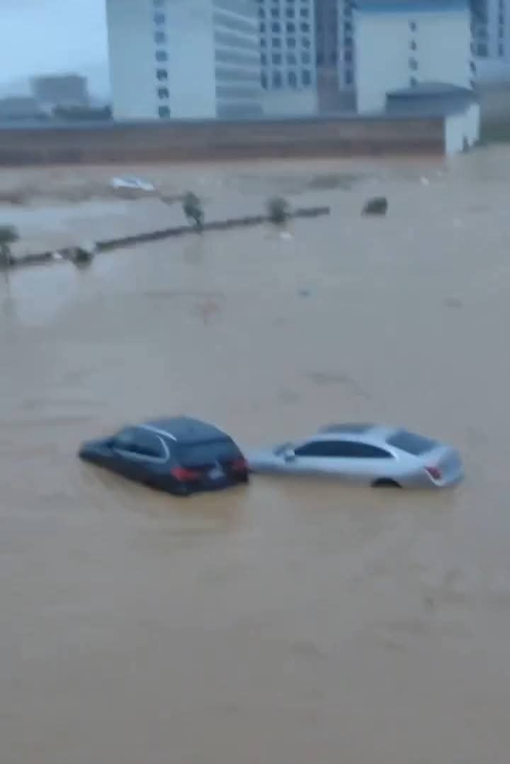 photo_2025-07-23_11-01-03