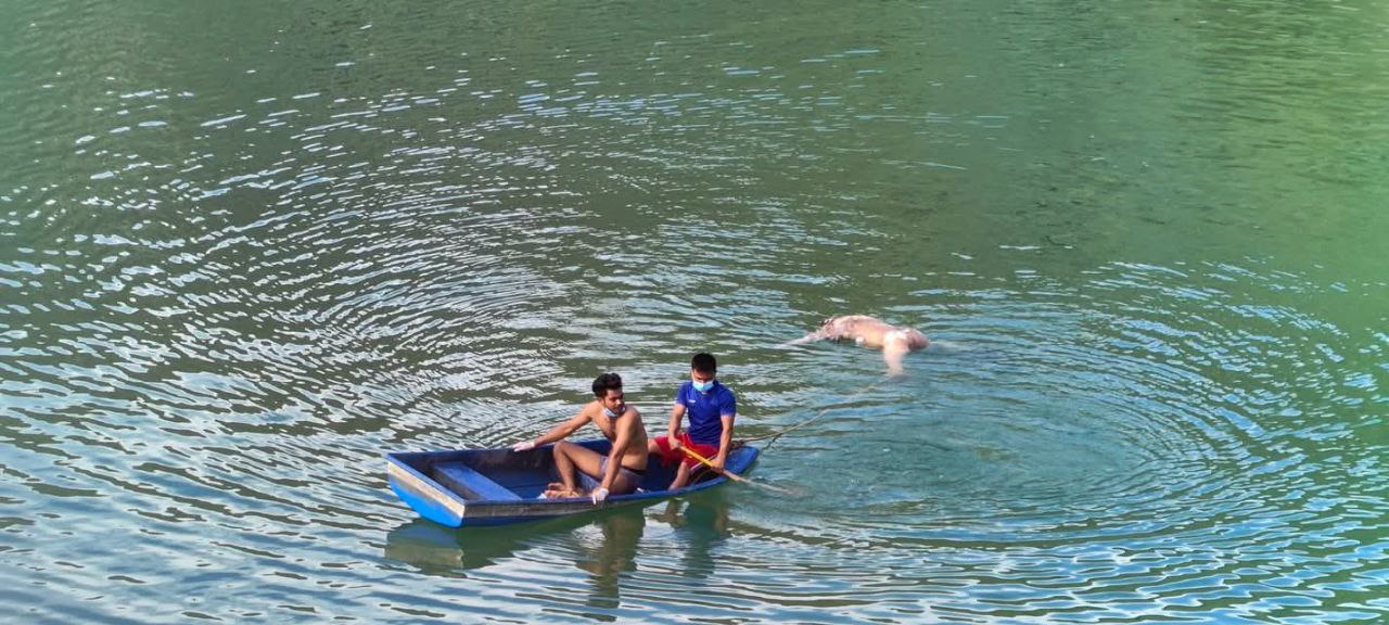 photo_2025-07-31_12-09-13