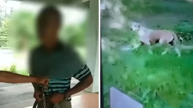 Copy-of-Thaiger-News-Featured-Image-60-2