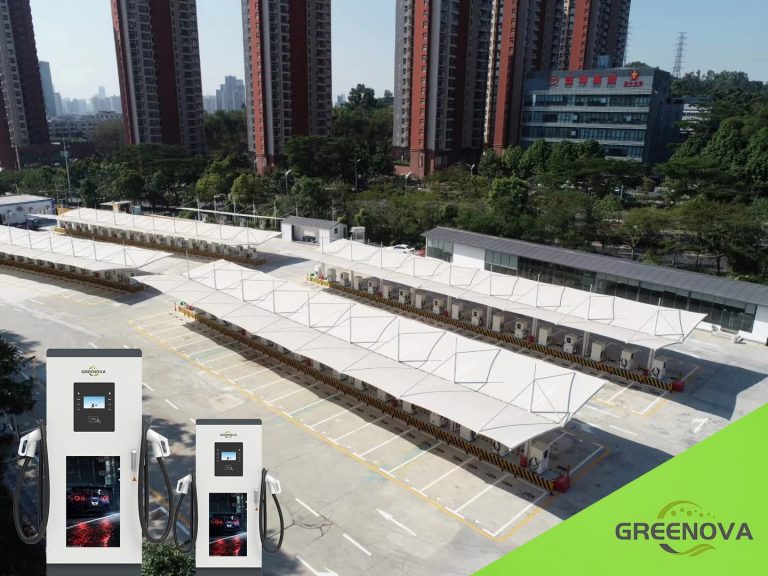 FB_IMG_1756222494019