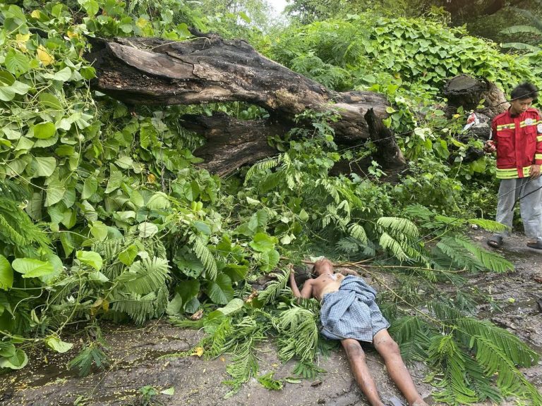 photo_2025-08-01_09-27-15