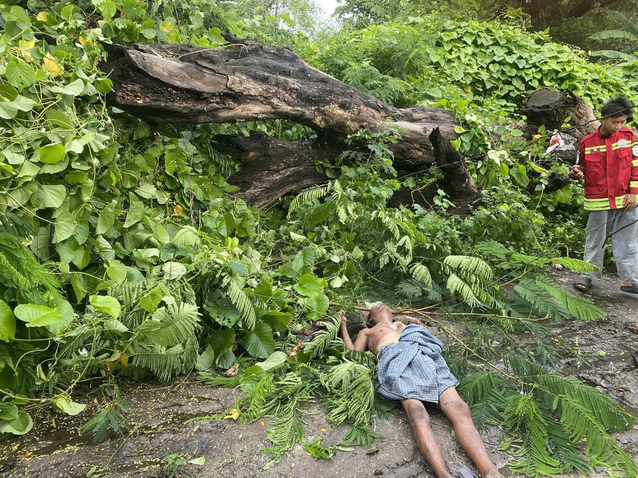 photo_2025-08-01_09-27-15