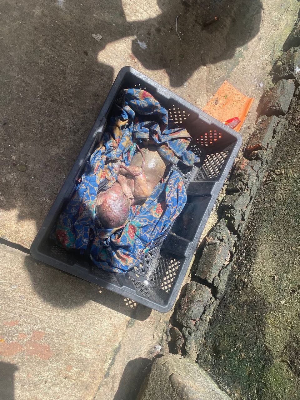 photo_2025-08-09_14-11-48