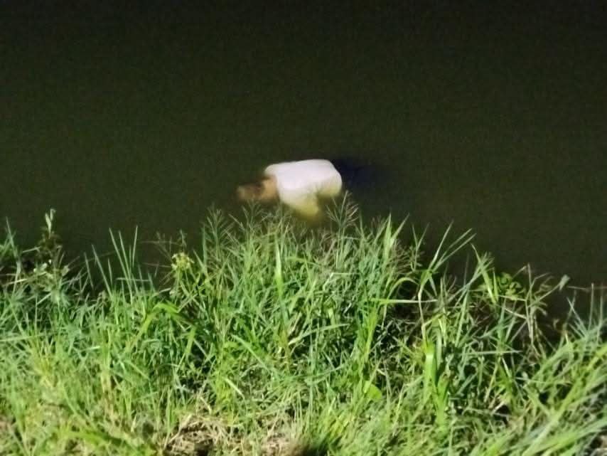 photo_2025-08-14_11-56-54