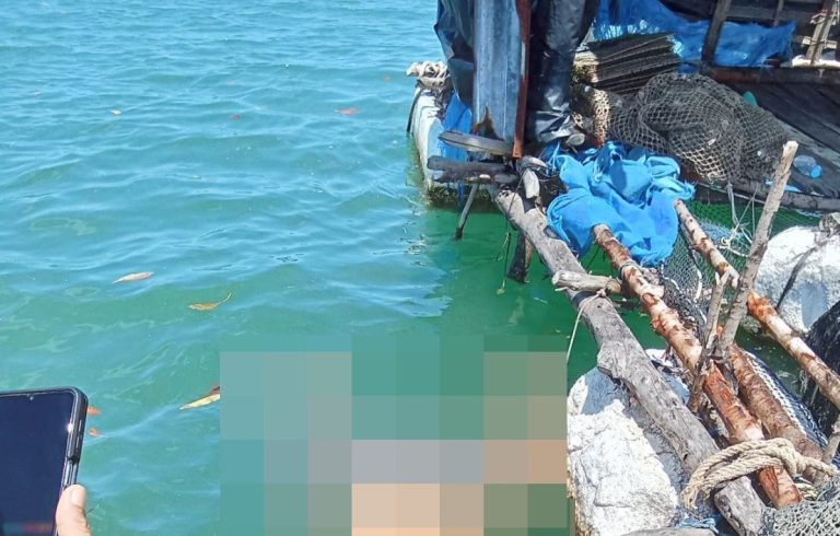 photo_2025-08-15_16-09-41