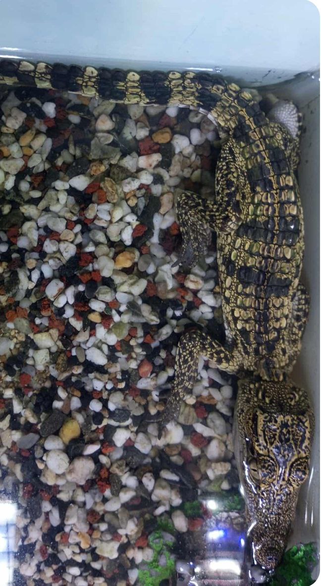 photo_2025-08-19_14-28-35