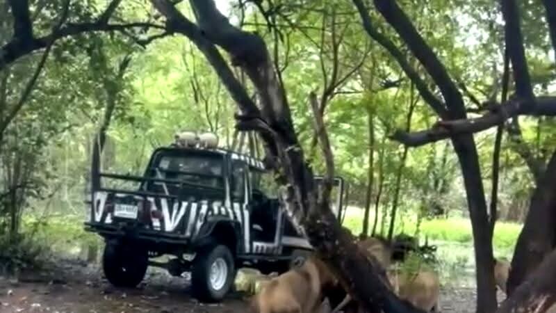 FB_IMG_1757523462397