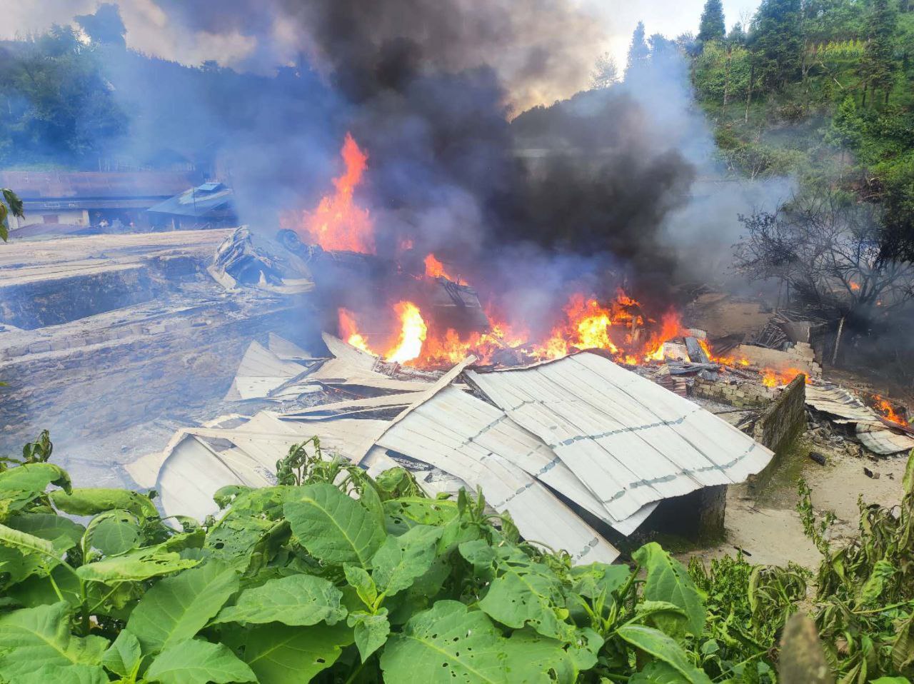 IMG_20250907_181224_902