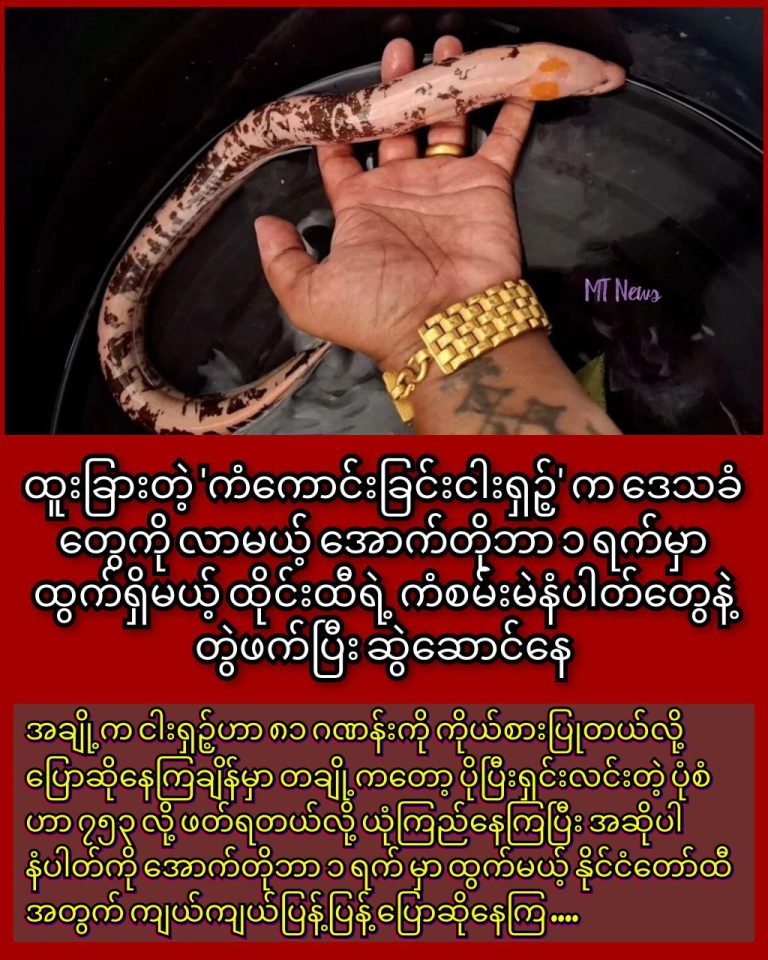 photo_2025-09-27_14-23-25