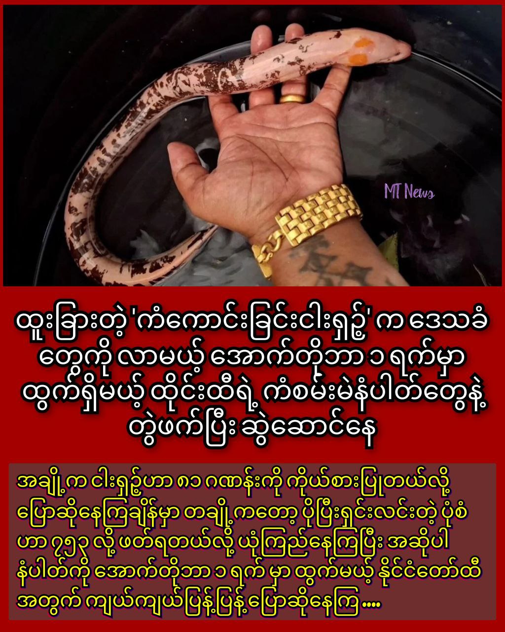 photo_2025-09-27_14-23-25