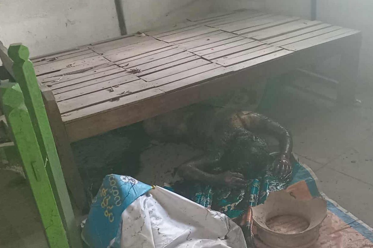 IMG_20251026_223320_882