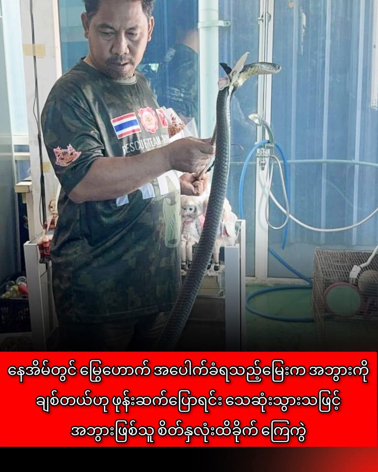 InCollage_20251023_173253976