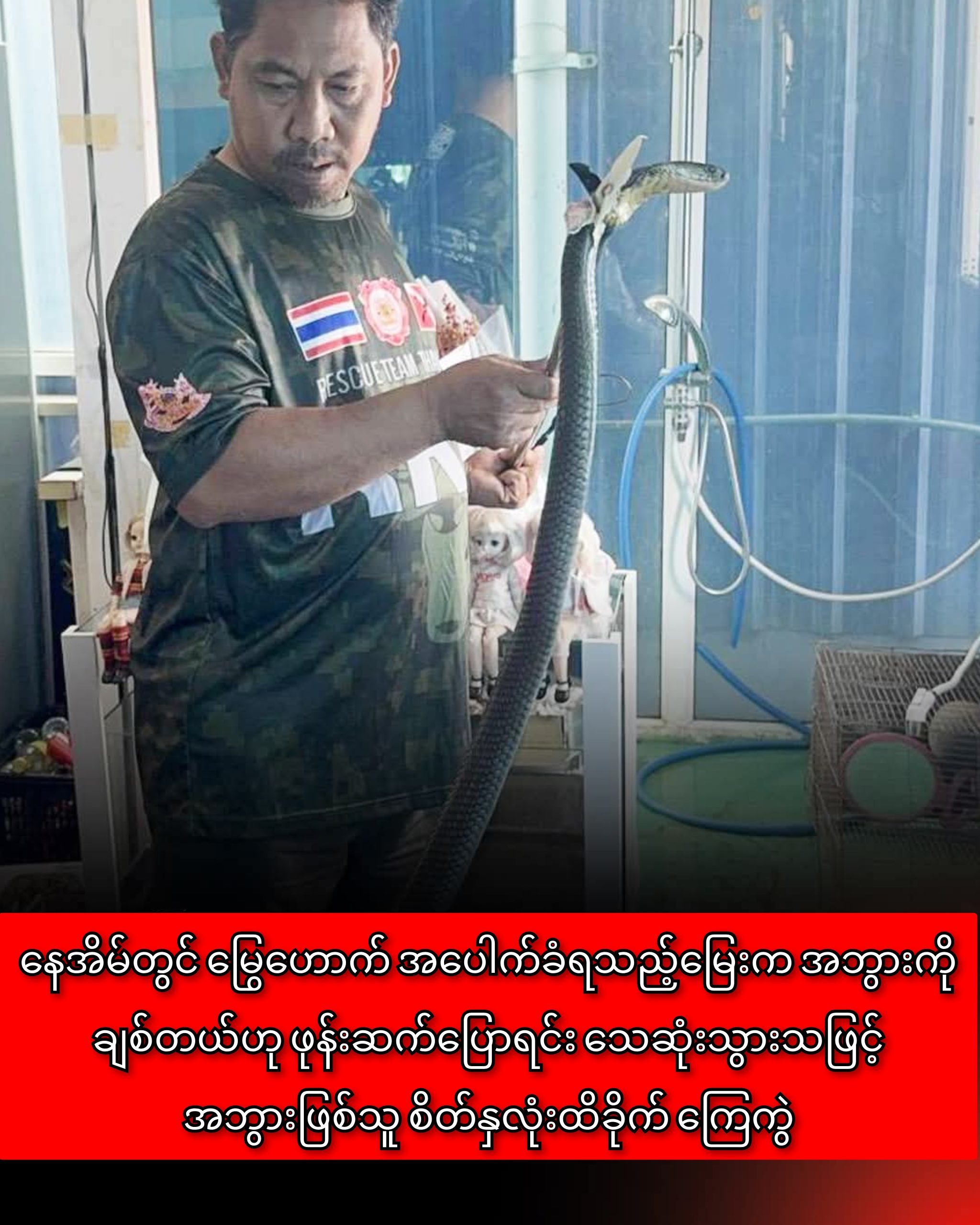 InCollage_20251023_173253976