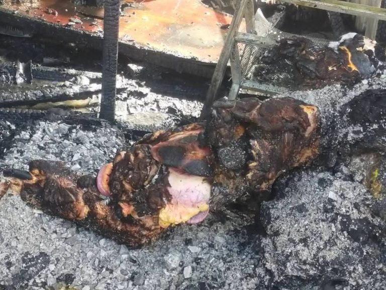 photo_2025-10-28_16-14-07