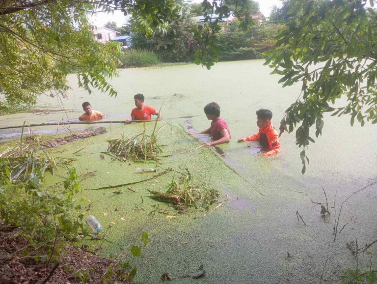 IMG_20251105_201300_941