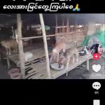 IMG_20251112_221255_586