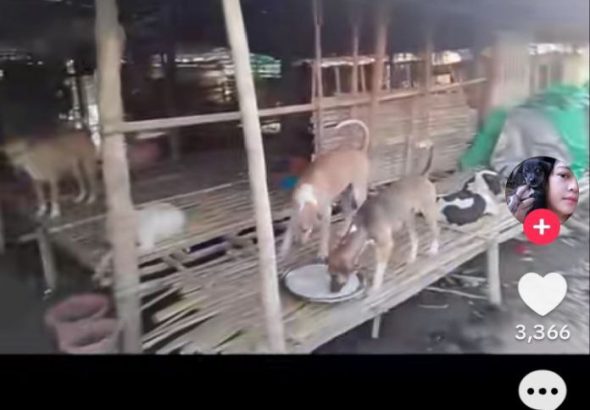 IMG_20251112_221255_586