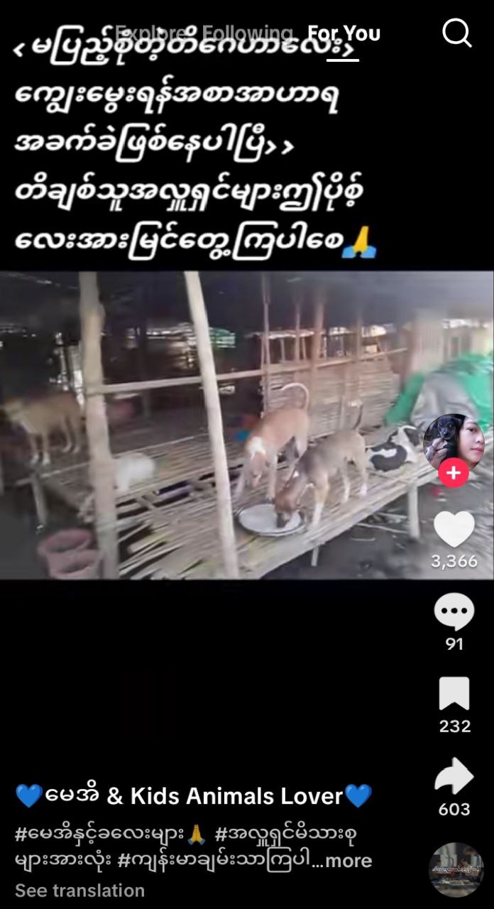 IMG_20251112_221255_586