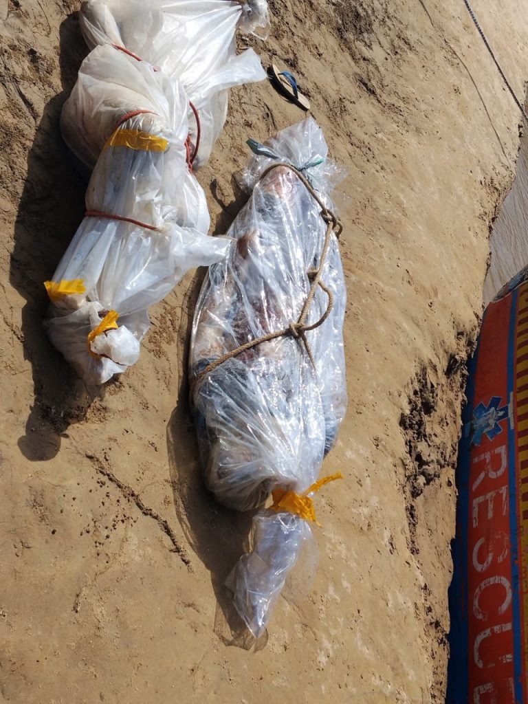 IMG_20251125_164515_289