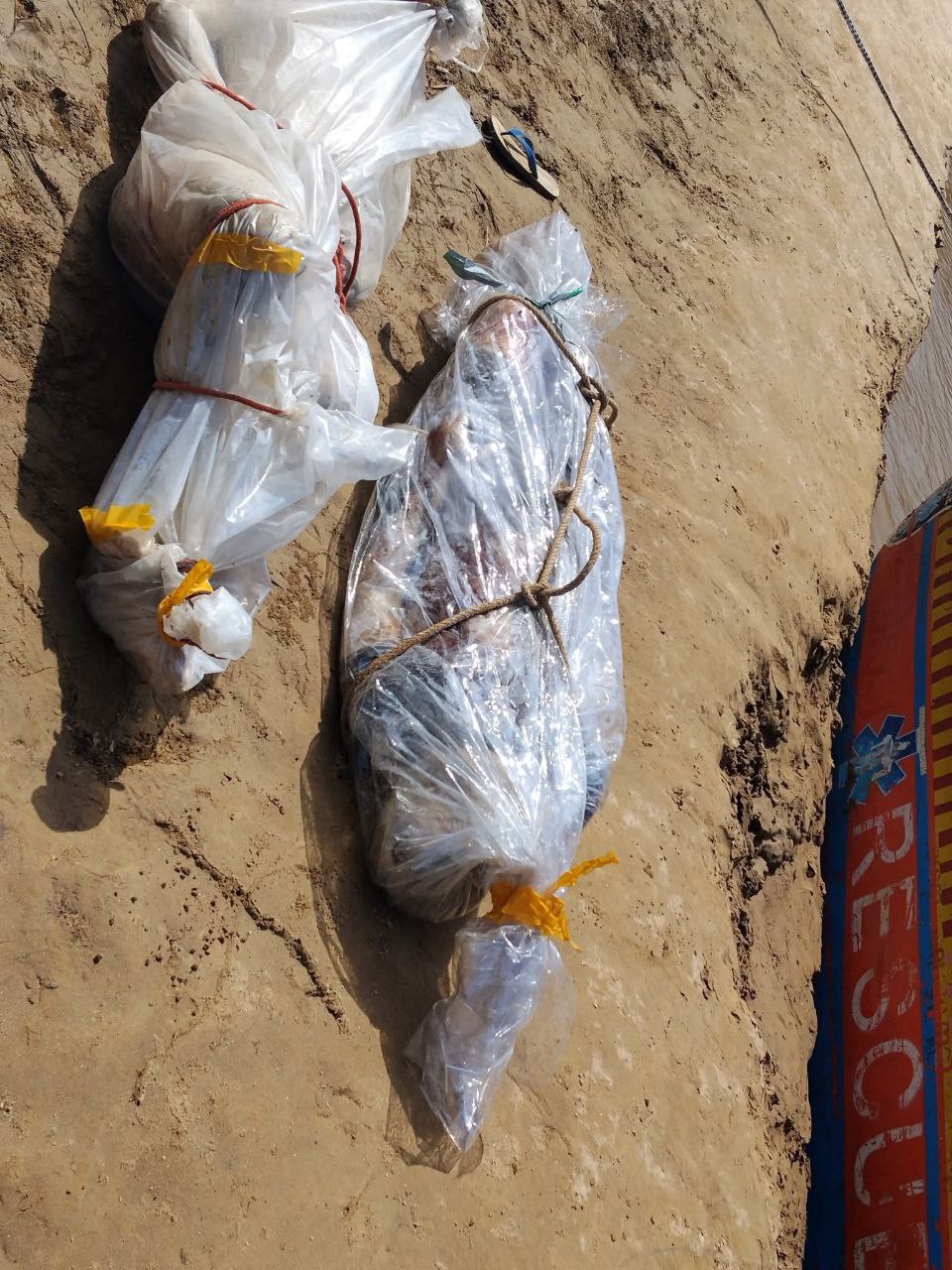 IMG_20251125_164515_289