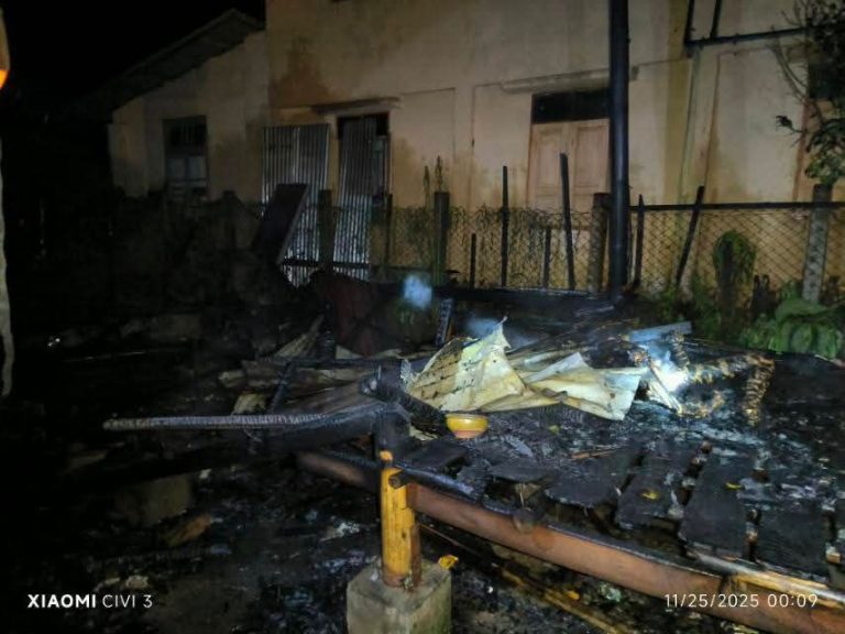 IMG_20251125_194548_050