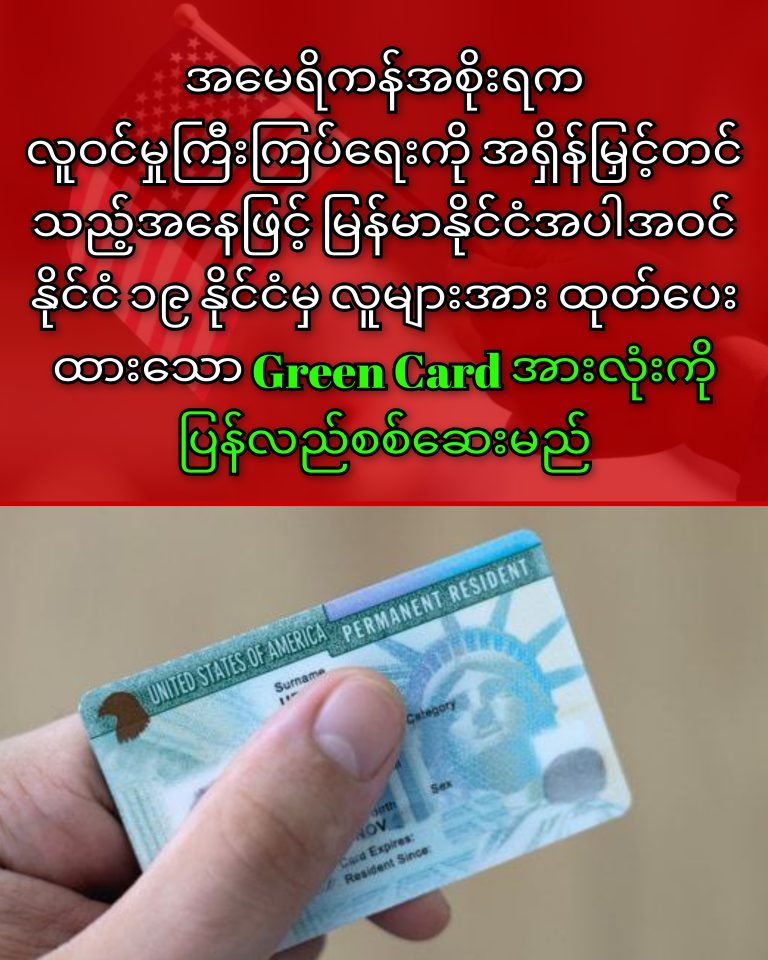 InCollage_20251128_165932003