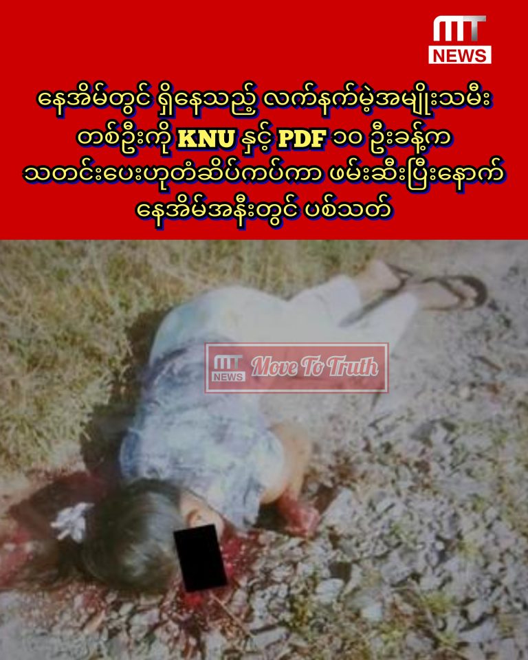 InCollage_20251129_174456878