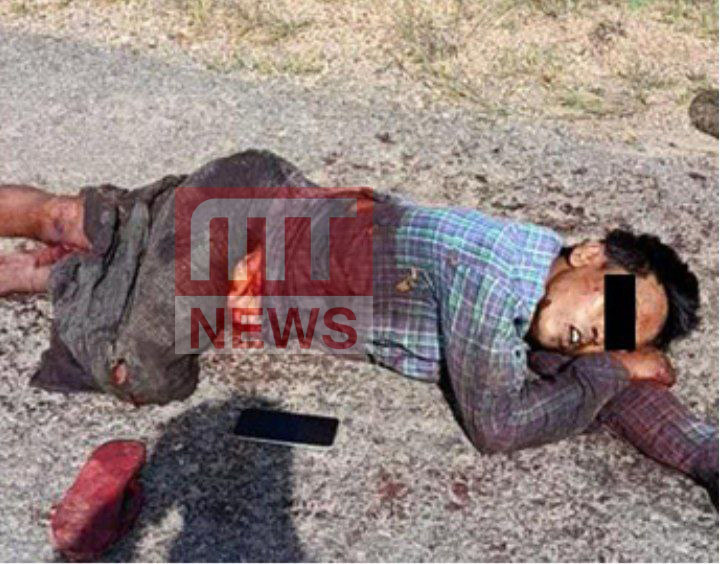 photo_2025-11-10_11-03-45