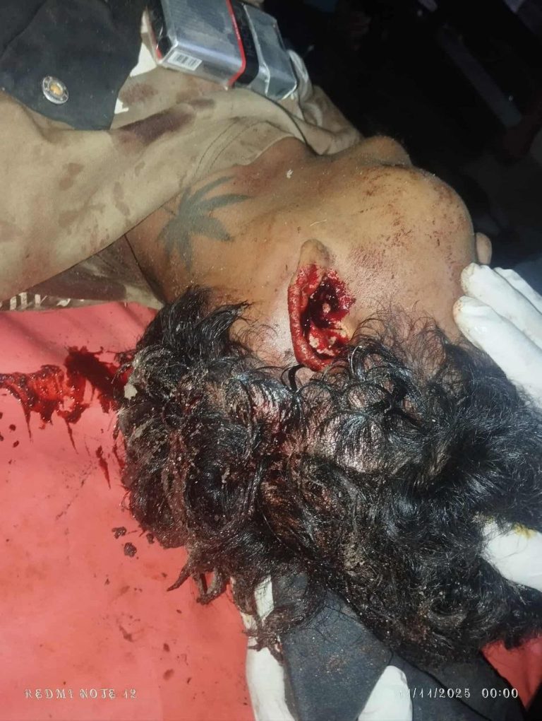 photo_2025-11-11_14-19-39