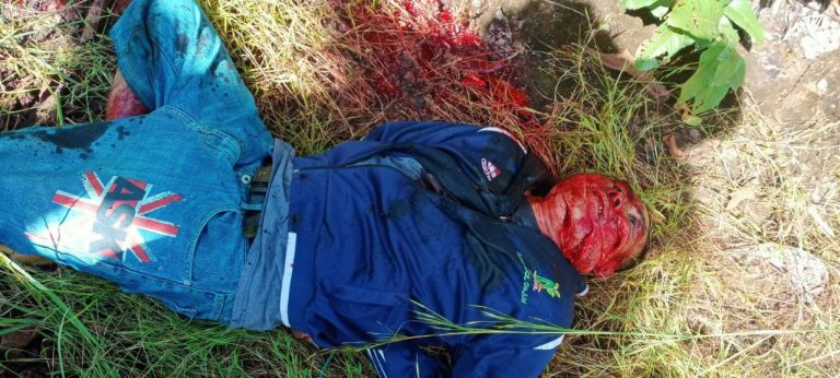 photo_2025-11-11_17-05-39