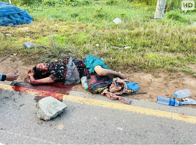 photo_2025-11-12_15-22-24