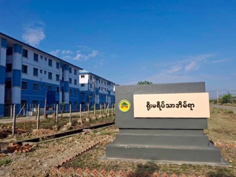 photo_2025-11-13_12-15-11