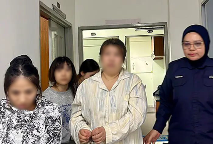 photo_2025-11-19_14-22-45