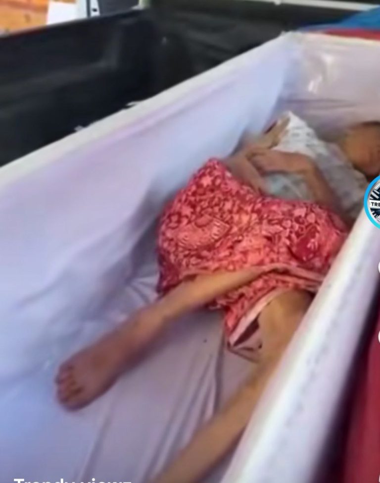 photo_2025-11-25_12-19-47