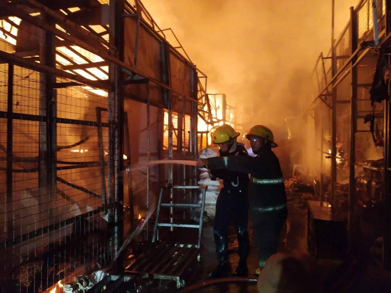 photo_2025-11-27_11-54-48