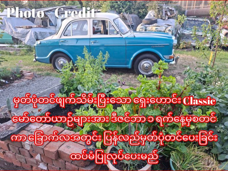 photo_2025-11-29_11-04-42